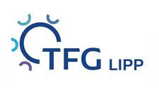 TFG Lipp KG